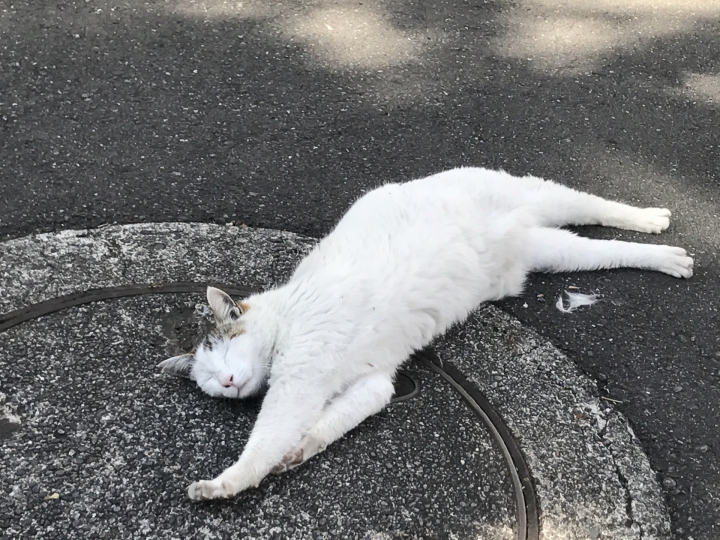 何もしない選択肢もアリ