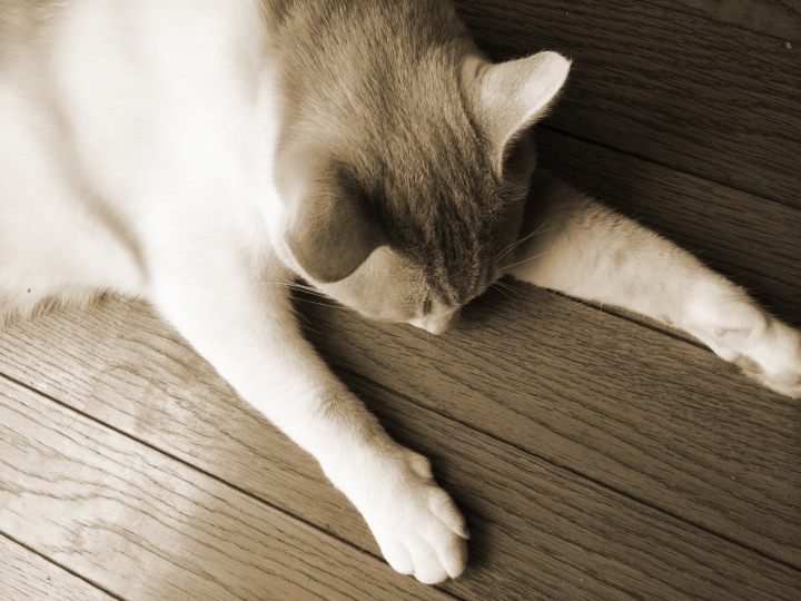 作業量が多くなって大変