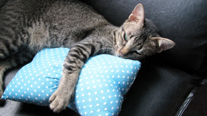 簡単に出来る副業と油断すると…