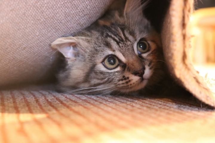 考え方は人それぞれで