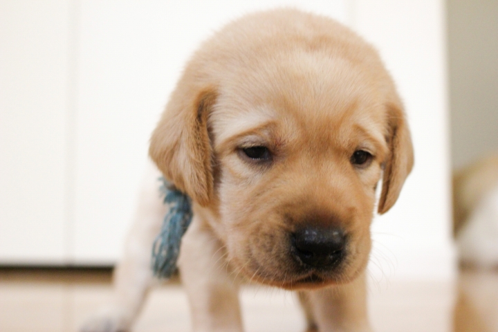 期待したような情報ではなく…