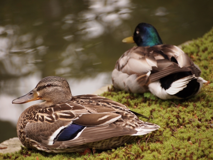 自己責任の考え方がないといつまでも…