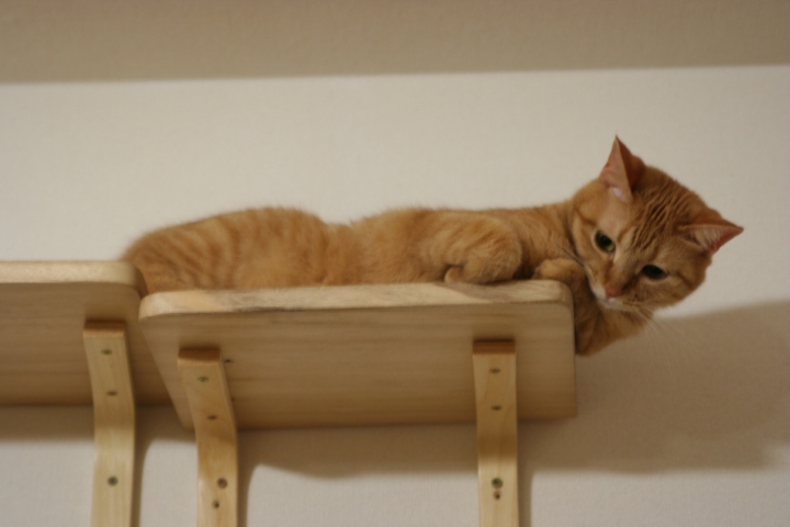 人任せでは上手くいきにくい