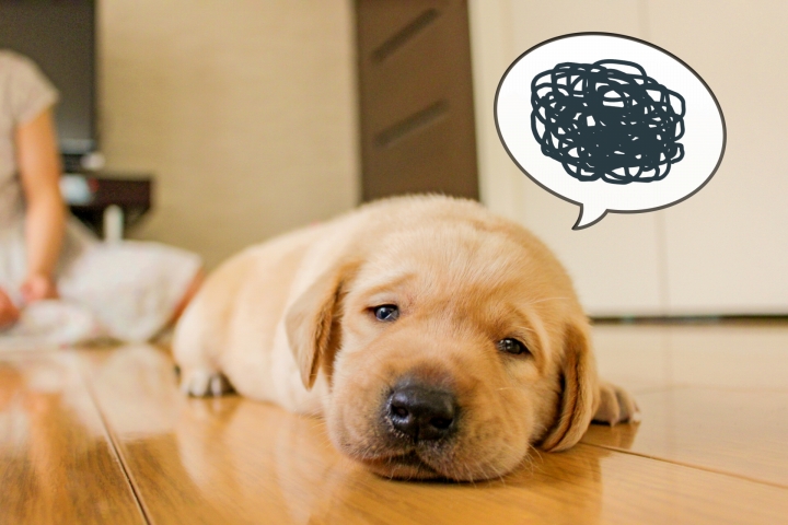 記事を書くことが出来ない場合が多い