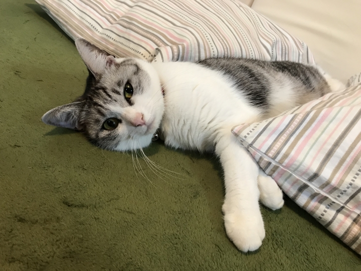 成果が出ない中での継続は結構大変