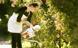 じっくりとメディアを育てていく