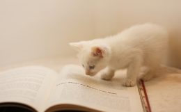 知りたい情報が提供出来ている