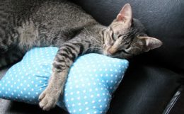 簡単に出来る副業と油断すると…