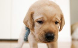 期待したような情報ではなく…